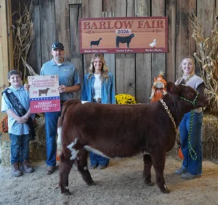 Barlow Independent Fair livestock sale results